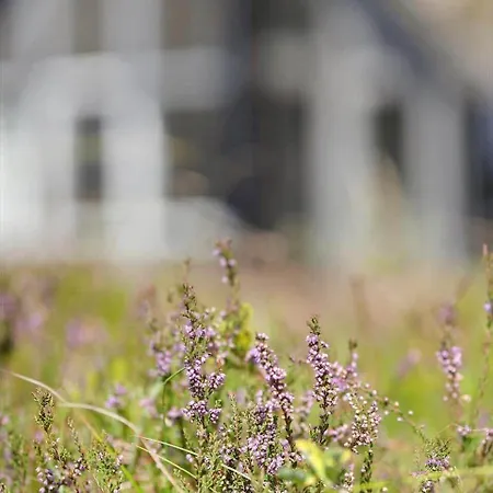 2609-romo-praestekraven-16 別荘 Mølby