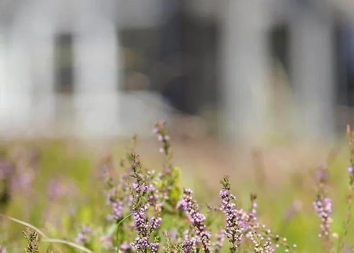 2609-romo-praestekraven-16